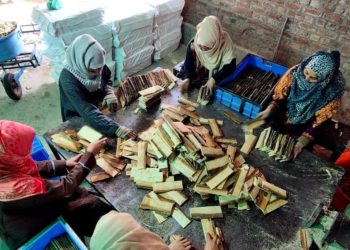 اوکھو :جنوبی پلوامہ کا ایک ایسا گاؤں جو ملک میں بن رہے پنسلوں کیلئے خام مال فراہم کرتا ہے