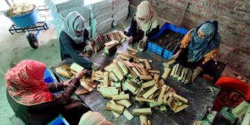 اوکھو :جنوبی پلوامہ کا ایک ایسا گاؤں جو ملک میں بن رہے پنسلوں کیلئے خام مال فراہم کرتا ہے