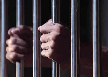 ’فہد شاہ کے نیوز پورٹل پر اچھی حکمرانی