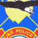 کٹھوعہ میں منشیا ت فروش کے قبضے سے۱۵کلو چرس برآمد:پولیس