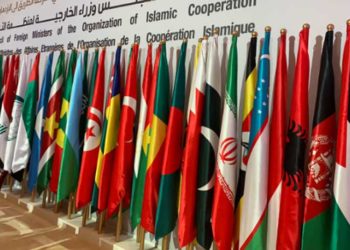 او آئی سی اجلاس میں حریت کو دعوت‘دیلی کی تنقید