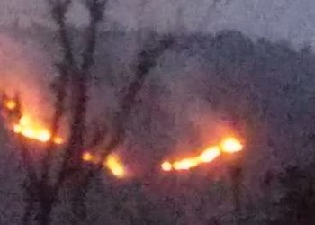 خشک سالی کی وجہ سے جموں کشمیر کے جنگلوں میں آتشزدگی