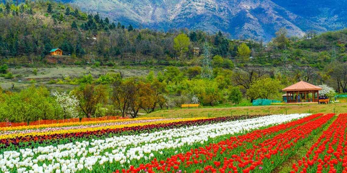 وادی میں شبانہ درجہ حرارت مسلسل معمول سے زیادہ ریکارڈ