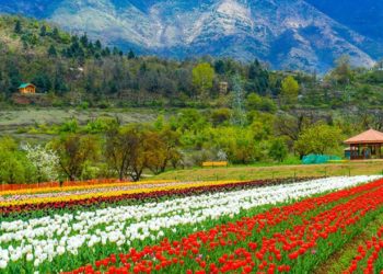 وادی میں شبانہ درجہ حرارت مسلسل معمول سے زیادہ ریکارڈ