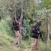 مینڈھر پونچھ میں ایل او سی کے جنگل علاقوں کا بڑے پیمانے پر سرچ آپریشن