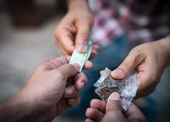 منشیات کی لت میں پڑے نوجوانوں کویہ لت چھڑانے کیلئے جم سینٹروں میں لانے کی بھی ضرورت :حافظ