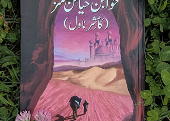۲۲سالہ آصف طارق کشمیری ناول’خوابن خیالن منز‘کا مصنف