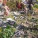 جموں و کشمیر: پونچھ میں دلدوز سڑک حادثہ،12 از جان، زائد از دو درجن زخمی