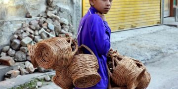 سوشل میڈیاپر کم سن لڑکے رفاقت علی کی جد وجہد سے بھری زندگی کی ویڈیو وائرل
