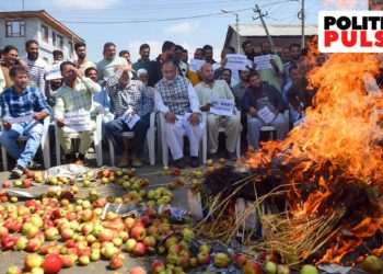 گرتے دام :کیا میوہ تاجر اب اپنے سیبوں کو ضائع کررہے ہیں ؟