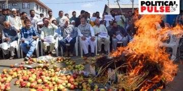 گرتے دام :کیا میوہ تاجر اب اپنے سیبوں کو ضائع کررہے ہیں ؟