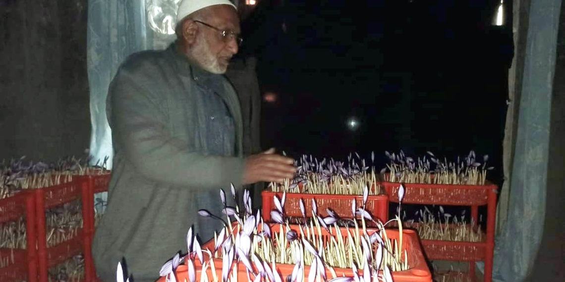 پانپور کے زعفران کاشتکار کا انڈور کاشتکاری کا کامیاب تجربہ