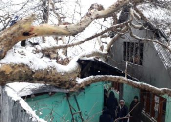اوڑی:بھاری برکم درخت گرنے سے۲مکانات تباہ‘ کوئی جانی نقصان نہیں