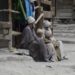 ایل او سی میں جنگ بندی کے دو سال ‘سرحدی علاقوں کے لوگوں کو راحت
