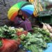 تازہ برفباری سے وادی کے سیاحتی مقامات پر سیاحوں کا بھاری رش