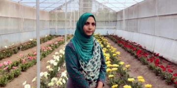 روبینہ تبسم: ایک اعلیٰ تعلیم یافتہ خاتون جس نے پھولوں کا کار و بار کرکے منفرد مقام بنایا