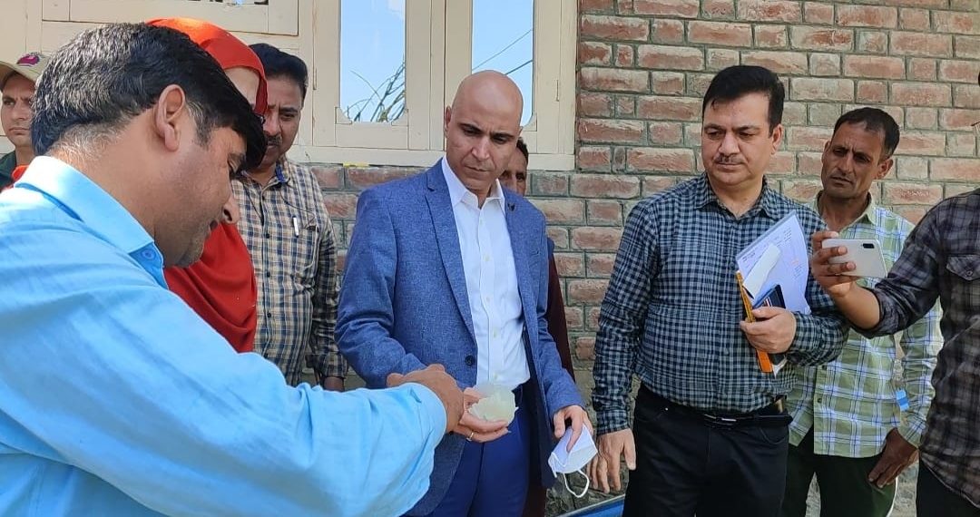 وادی میں سینکڑوں کنال اراضی پر پوست کی کاشت تباہ