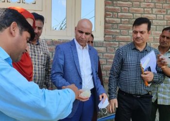 وادی میں سینکڑوں کنال اراضی پر پوست کی کاشت تباہ