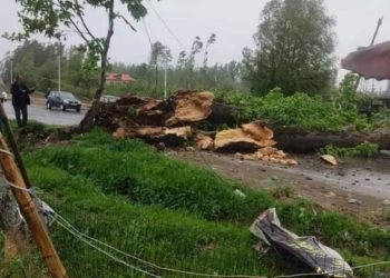 شمالی کشمیر میں تیز آندھی چلنے سے کئی رہائشی مکانوں کو نقصان، متعدد درخت اکھڑ گئے