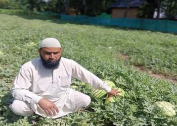 کاشتکار کا ہائی برڈ تربوز تیار کرنے کا خواب ثمر آور ثابت