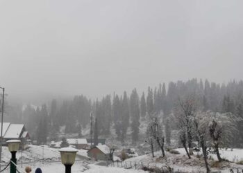 کشمیر: سیاحتی مقام گلمرگ اور وادی گریز میں تازہ برف باری