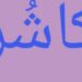 مادری زبان کا عالمی دن:کشمیری زبان کو جدید ٹیکنالوجی کے ساتھ ہم آہنگ کرنے کی ضرورت