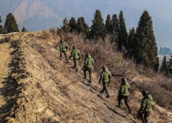 پونچھ:ایل او سی کے نزدیک متعدد علاقوں میں تلاشی کارروائی