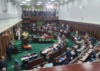دو بھائیوں کی موت کی تحقیقات کی مانگ