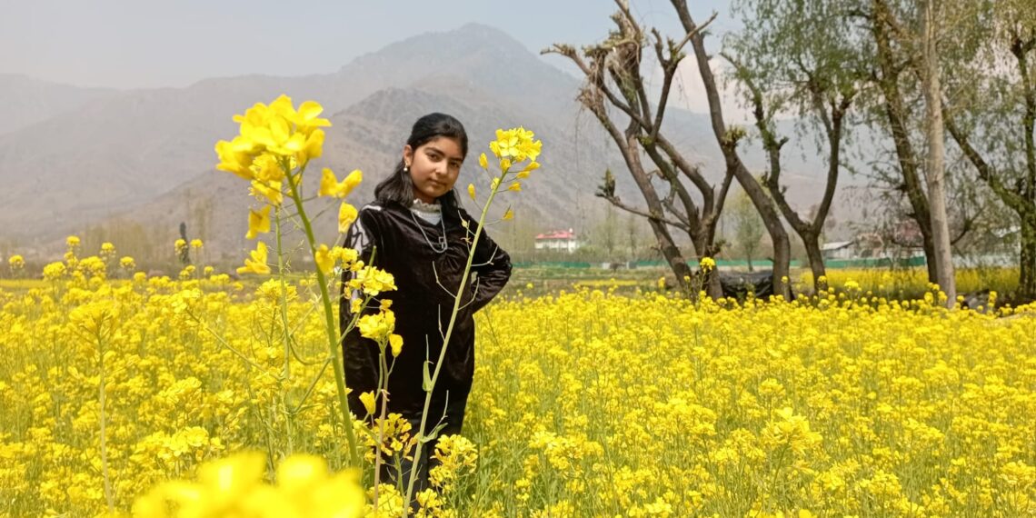 کشمیر میں سرسوں کے لہلہاتے کھیت بھی سیاحوں کیلئے پرکشش ثابت ہوتے جا رہے ہیں