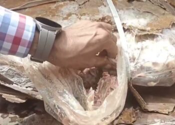صورہ میں سڑا گوشت برآمدہونے سیلوگوں میں تشویش کی لہر