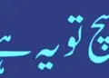 گلا سڑا گوشت:کیا مسئلہ حل ہو گیا ؟