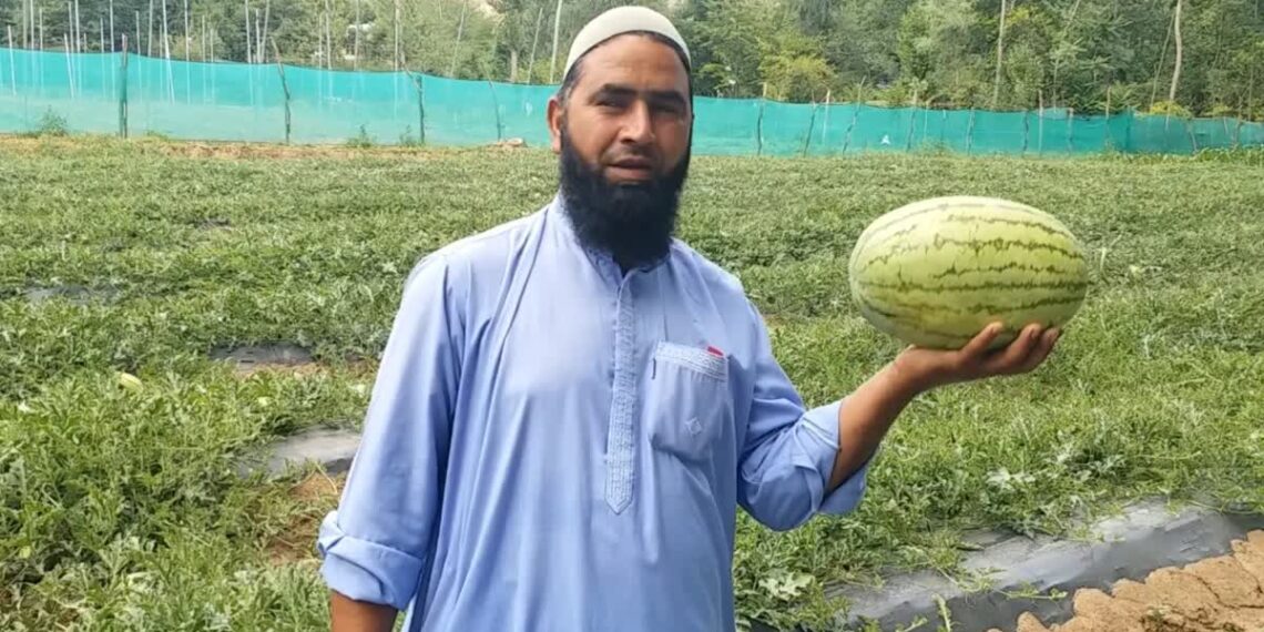 ضلع اننت ناگ کا اشر چکی داس علاقہ  جہاں سے کشمیر کو میٹھے تربوز فراہم ہو تے ہیں