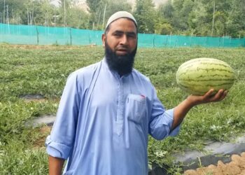 ضلع اننت ناگ کا اشر چکی داس علاقہ  جہاں سے کشمیر کو میٹھے تربوز فراہم ہو تے ہیں