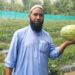 ضلع اننت ناگ کا اشر چکی داس علاقہ  جہاں سے کشمیر کو میٹھے تربوز فراہم ہو تے ہیں