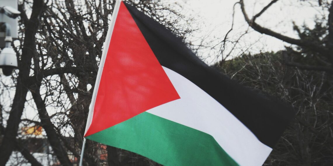فلسطینی ریاست کے تسلیم کیے جانے سے ہماری آزادی اور دو ریاستی حل قریب تر : فلسطین