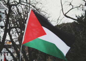 فلسطینی ریاست کے تسلیم کیے جانے سے ہماری آزادی اور دو ریاستی حل قریب تر : فلسطین