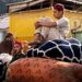 اقوا متحدہ کی پاکستان سے افغان پناہ گزینوں کے قیام کی مدت میں توسیع کی اپیل