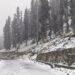 وادی کے بالائی علاقوں بشمول گلمرگ اور سونہ مرگ میں تازہ برف باری