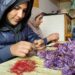 زعفران کی فصل پر زوال کی چھایا، کسان بے بسی کا شکار
