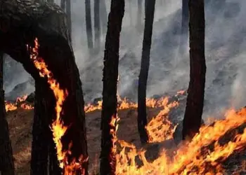 پونچھ میں جنگل کی آگ سے لائن آف کنٹرول کے قریب بارودی سرنگیں پھٹ گئیں