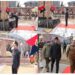 بخشی اسٹیڈیم میں فل ڈریس ریہرسل 