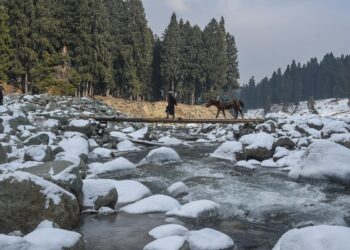 مزید۱۴ سیاحتی مقامات کھولنے کا اعلان