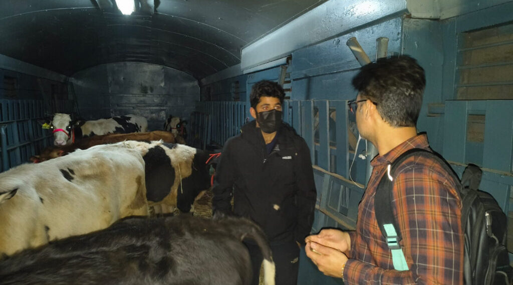 بنگلورو سے اعلیٰ نسل کے بیلوں کی پہلی کھیپ ریل کے ذریعے کشمیر پہنچ گئی