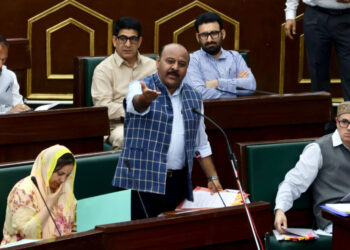 مندروں کے تحفظ سے متعلق بی جے پی رکن کا بل مسترد