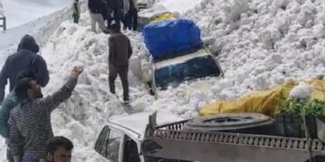 اسمبلی میںفیک نیوز اور غلط معلومات پر تشویش ‘اسپیکر اورممبران کاجامع قانون بنانے کا مطالبہ