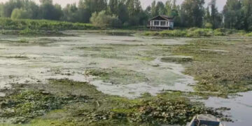 ہوکرسر جھیل ماحولیاتی زوال کا شکار، ڈھائی ہزار کنال سے زائد رقبہ پر قبضے