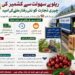 ٹرین کی سہولت سے کشمیر کی چیری تجارت کو نئی رفتار ملے گی‘ کسان پر امید 