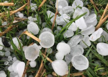 کولگام کے کُنڈ علاقے میں شدید ژالہ باری، باغات اور فصلوں کو نقصان