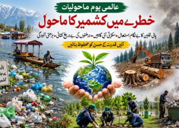 پالی تھین کا بے دریغ استعمال، سکڑتی آبی گاہیں، درختوں کی کٹائی اور بڑھتی آلودگی کشمیر کے ماحول کیلئے سنگین خطرہ