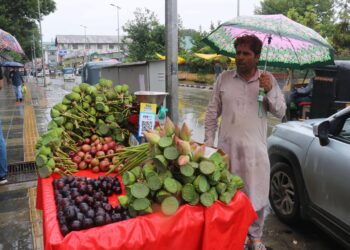 جموںکشمیر میں مزید بارشوں کی پیش گوئی‘۲؍اگست تک فلیس فلڈ کا الرٹ جاری